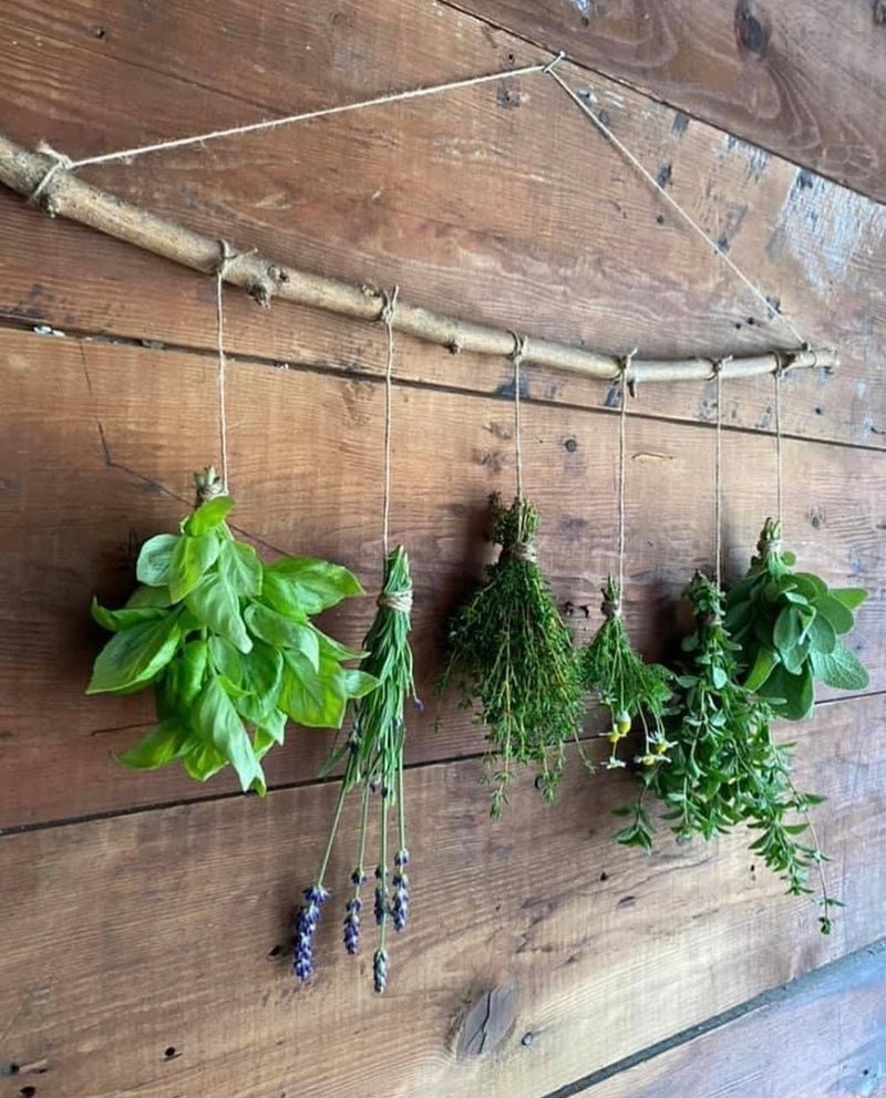Tutorial: How to Dry Fresh Herbs